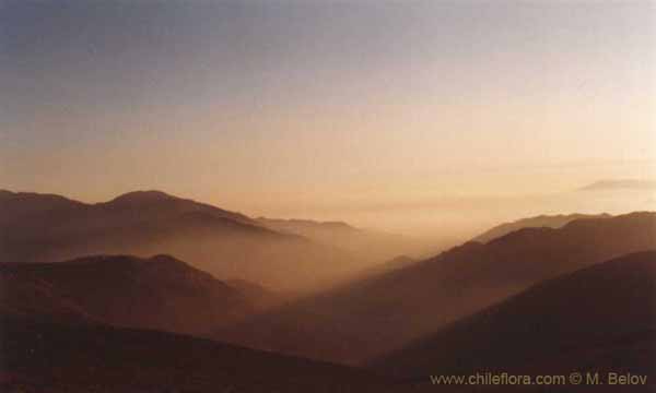 Image of a Chilean landscape