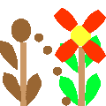 二年生の植物