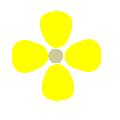 黄色、 4枚の花弁