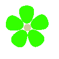 緑色、 5枚の花弁
