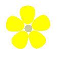 黄色、 5枚の花弁