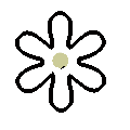 白色、 6枚の花弁