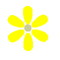黄色、 6枚の花弁