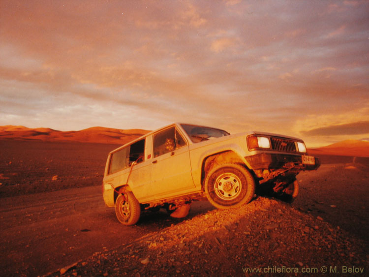Sunset in the desert:Good time for filling up...