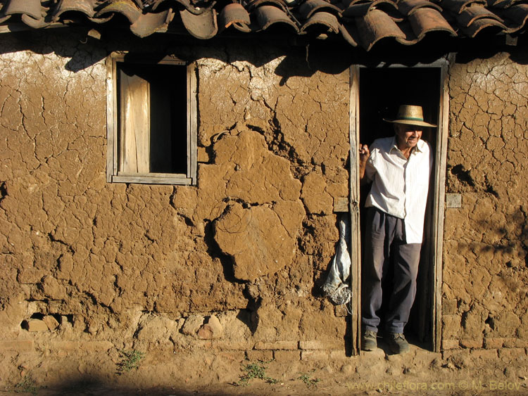 An image of an Adobe House with a Man