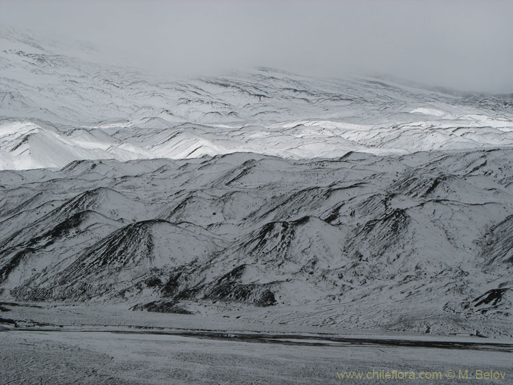 Image of mountain slopes covered with snow at Volcan Llaima.