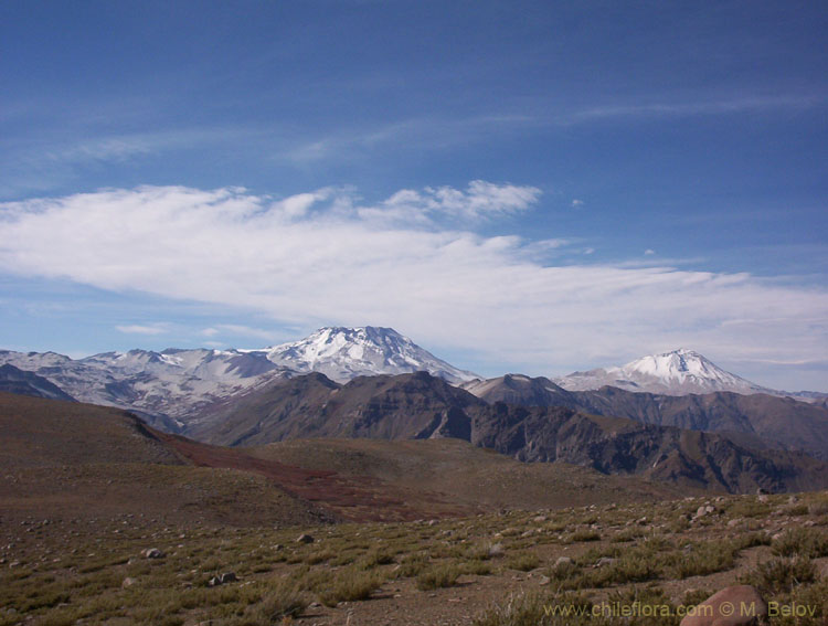 View of Descabezado Grande y Cerro Azul in summer from Guamparo Range, Lircay, Vilches, Chile.