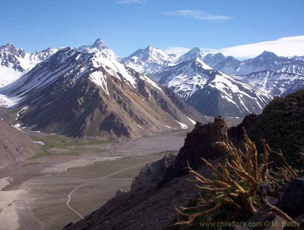 Image of a Chilean landscape