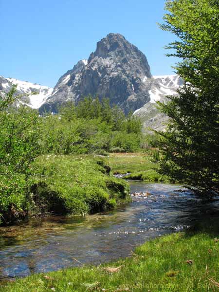 Imagen de paisaje chileno