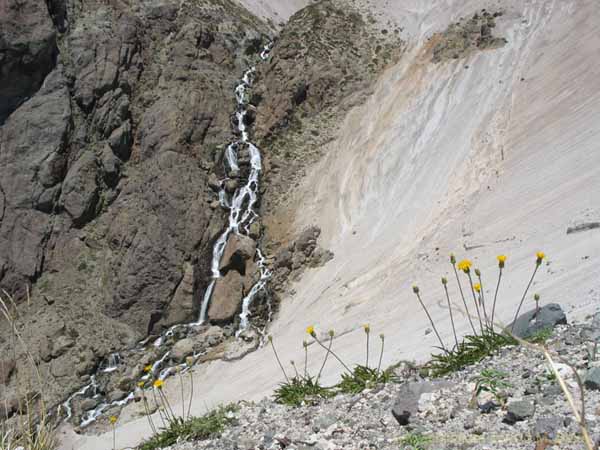 Bild von chilenischen Landschaften