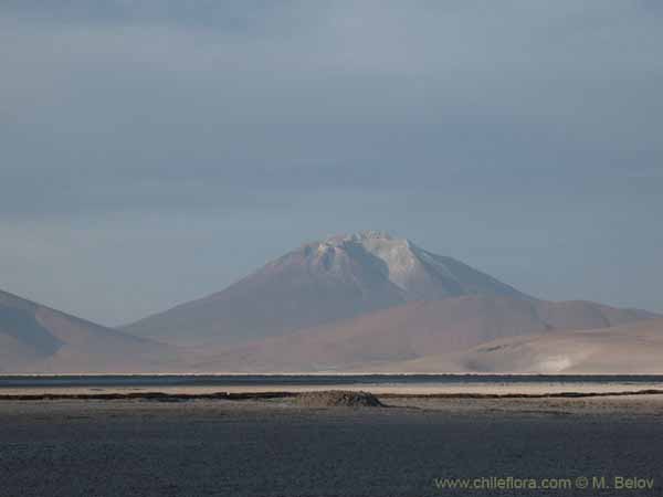 智利风景照片