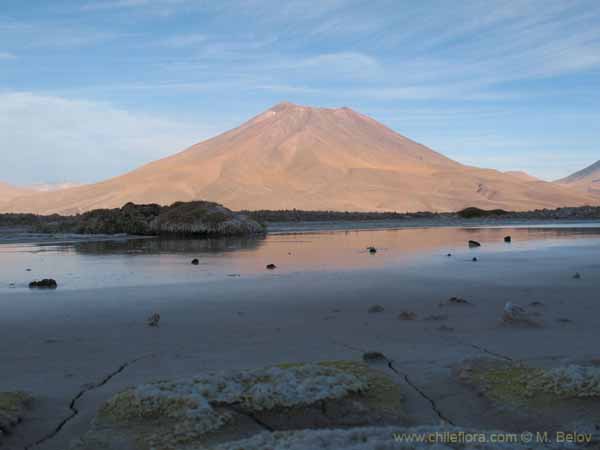 チリの景色の任意写真