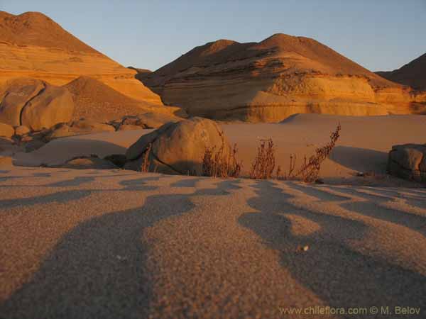 Image of a Chilean landscape