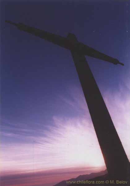 Image of a Chilean landscape