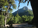 A photo of a wood clearing with a mountain in the background, Radal Siete Tasas, Chile.