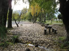 Image of wooden benches on shore of  Calafquen lake.