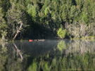 Morning Calm:Lago Toro near Puyehue