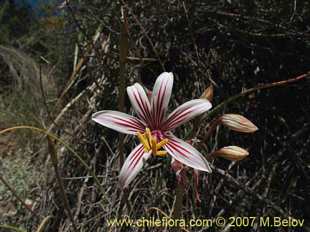 See more details and purchase options...