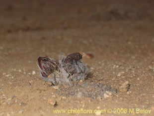 See more details and purchase options...