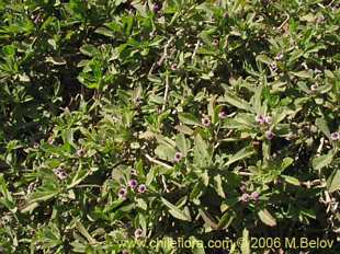 See more details and purchase options...