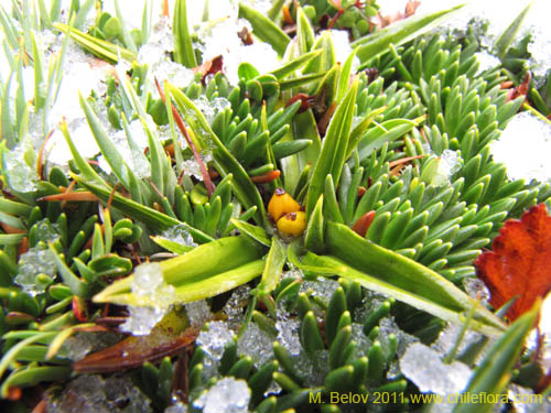 See more details and purchase options...