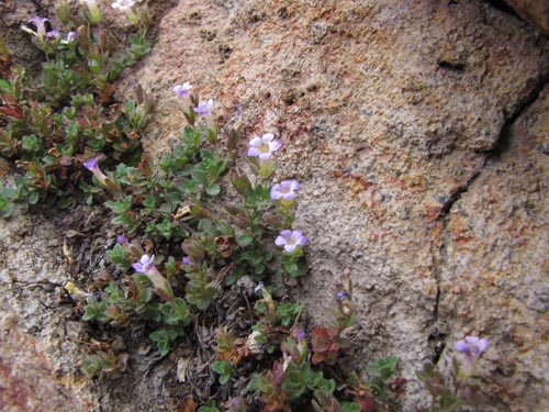 See more details and purchase options...