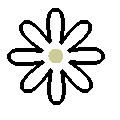 白色、 7-14枚の花弁
