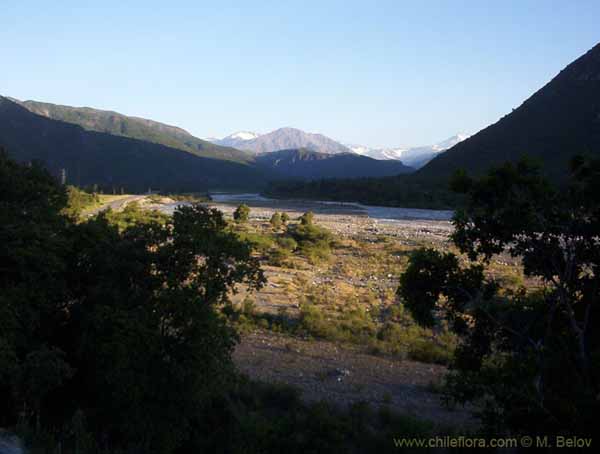 Image of a Chilean landscape