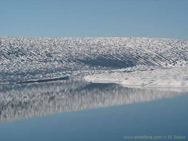 Image of a Chilean landscape