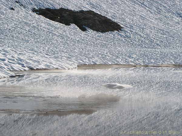 Image of a Chilean landscape