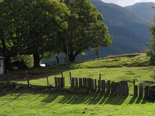 Image of a Chilean landscape