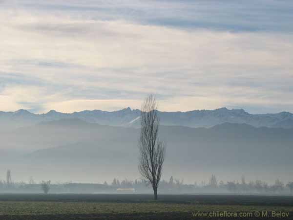 칠레의풍경사진