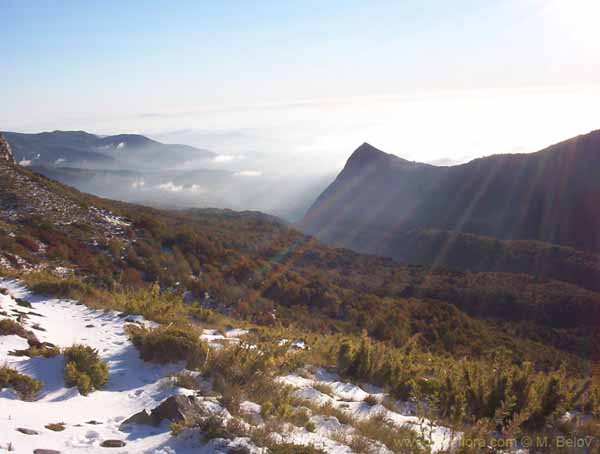 Image of a Chilean landscape