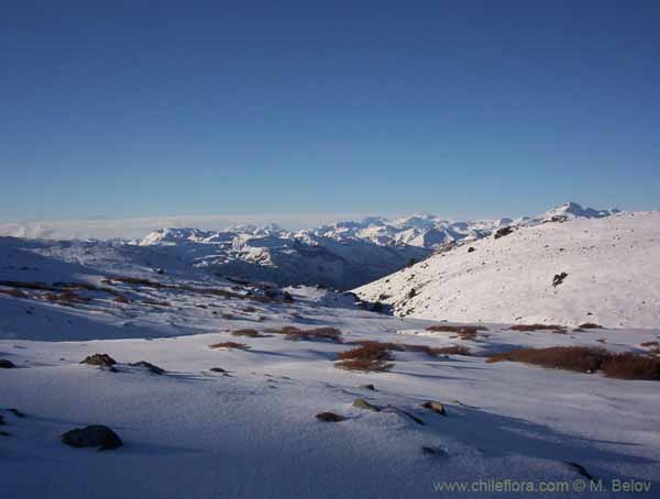 Image of a Chilean landscape