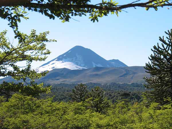 Imagen de paisaje chileno