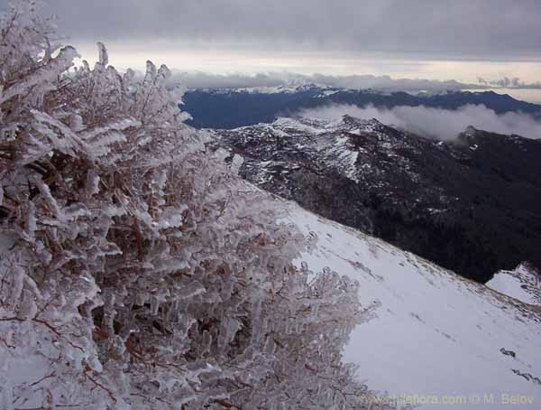 Image of a Chilean landscape