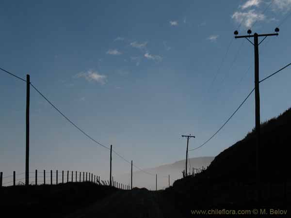 Image of a Chilean landscape
