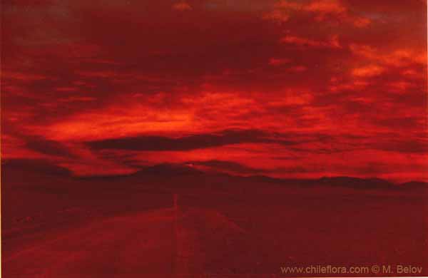Image of a Chilean landscape