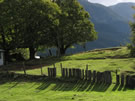 Image of a wooden fence and green lawn near Co�aripe.